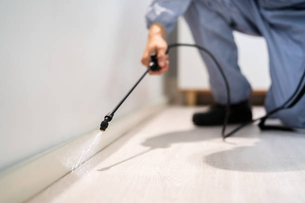 Licensed Pest Control service in Los Altos Hills, CA - Show Me Pest Control